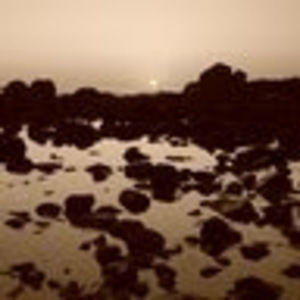 Meet your Posher, Keli